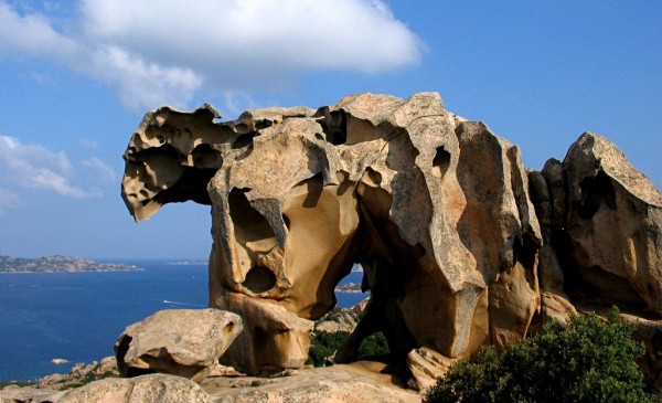 capo-dorso.jpg
